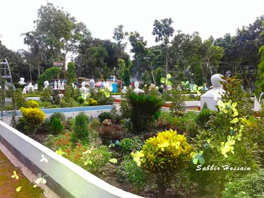 Gallery Image 6